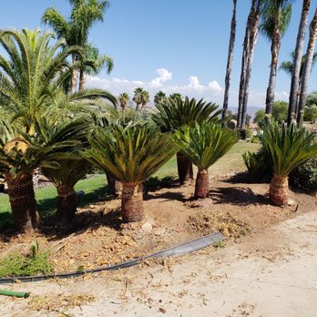 Three Brothers Tree Service - Excellent work done by the men. - Tree Services Near Me Three Brothers Tree Service - Excellent work done by the men. - Tree Services Near Me
