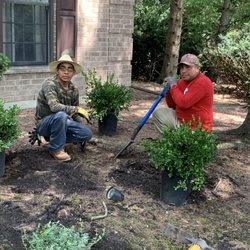 Nicholas Tree Care