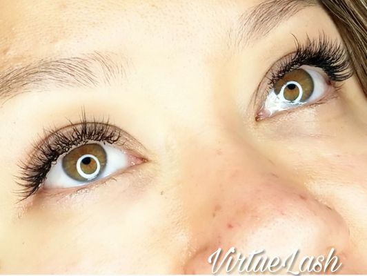 Virtue Lash by null