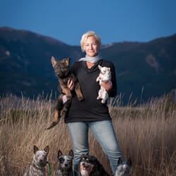 Know Thy Dog - Owner, Kelly Engel, with her dogs.