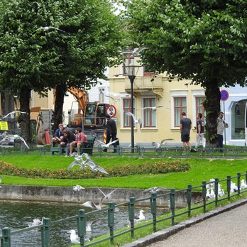 Byparken - Bird Feeding - Parks Near Me - Bergen, 12