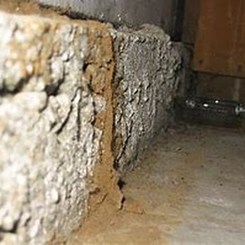 AllClear Termite Co. - Free Termite Inspection Encinitas. Treated soil and cleared tubes. - Pest Control Near Me - Oceanside, California AllClear Termite Co. - Free Termite Inspection Encinitas. Treated soil and cleared tubes. - Pest Control Near Me - Oceanside, California