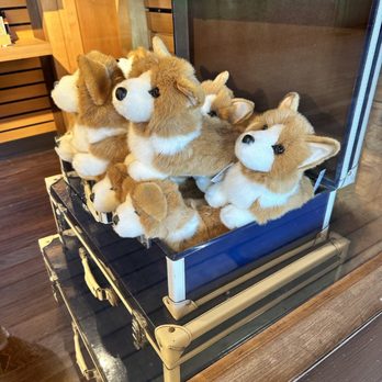 The Queen Mary - Puppies! - Hotels Near Me - Long Beach, California The Queen Mary - Puppies! - Hotels Near Me - Long Beach, California