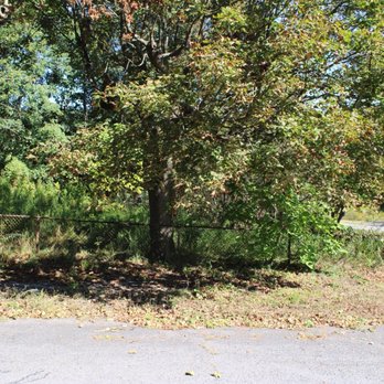 Centralia - Local Flavor Near Me