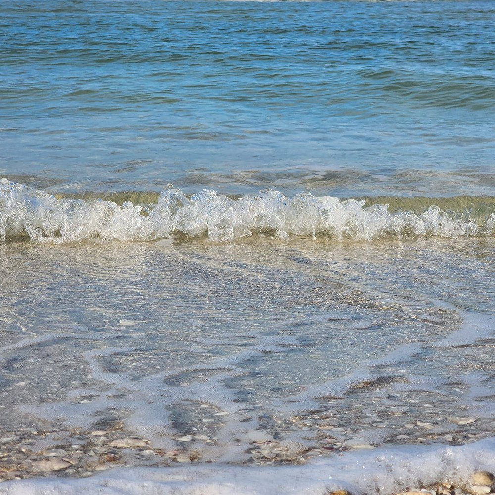 5555 Heron Point Drive, Naples FL 34108, MLS# 225010278 | Michael Saunders  \u0026 Company, image size:1000x1000