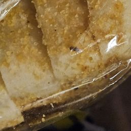 Bug in bread