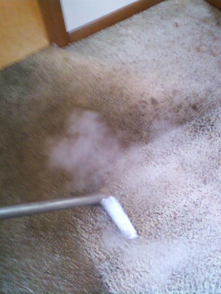 PROCARE CARPET CLEANING Updated July 2024 5605 Westerville Rd, Westerville, Ohio Carpet