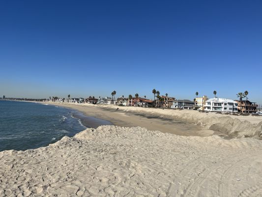 Alamitos Park by null
