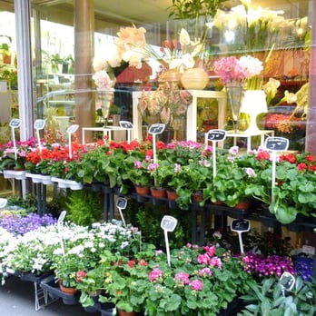 Alexandre Fleurs - Florists Near Me - Paris, 75
