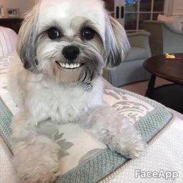 Smile for Laughlin plumbing Smile for Laughlin plumbing