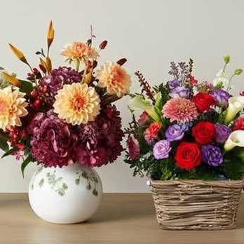 Petals and Plants - Florists Near Me - Avalon, New Jersey Petals and Plants - Florists Near Me - Avalon, New Jersey