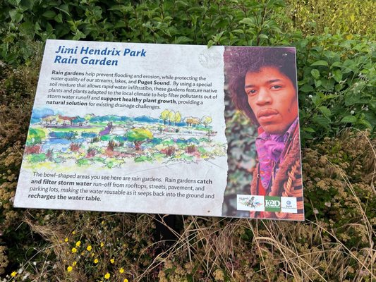 Jimi Hendrix Park by null