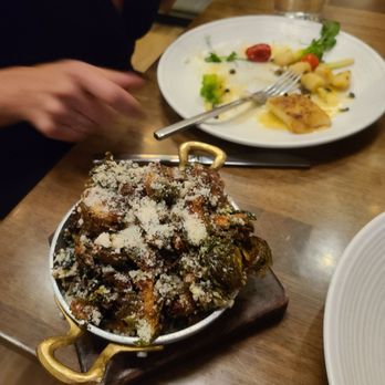 OLIVIA - Italian Near Me - Tampa, Florida OLIVIA - Italian Near Me - Tampa, Florida