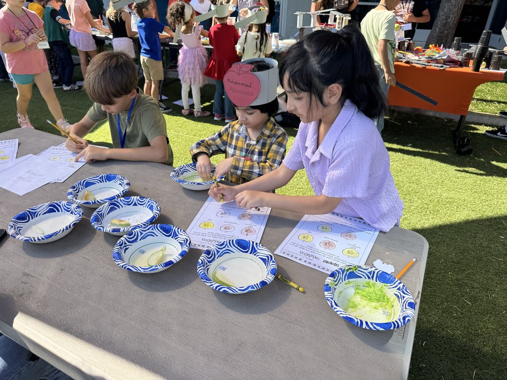 Steam Academy - reading tutor in Corona, CA