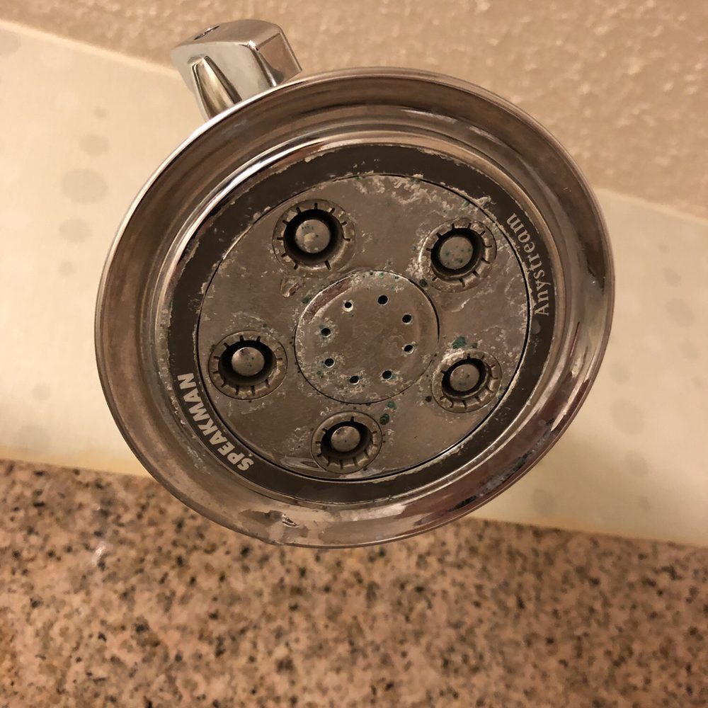 SpringHill Suites by Marriott Denver North/Westminster - Disgusting shower head - Hotels Near Me - Westminster, Colorado SpringHill Suites by Marriott Denver North/Westminster - Disgusting shower head - Hotels Near Me - Westminster, Colorado