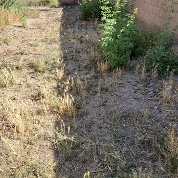 PoopFinders - Pet Waste Removal Near Me - Tolleson, Arizona PoopFinders - Pet Waste Removal Near Me - Tolleson, Arizona