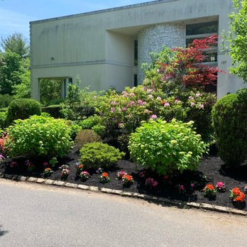 C Munoz Landscaping - C Munoz Landscaping - Landscaping Near Me