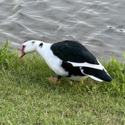 Choccolocco Park