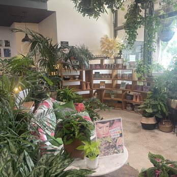 Lost Books - Plant shop - Vinyl Records Near Me - Montrose, California