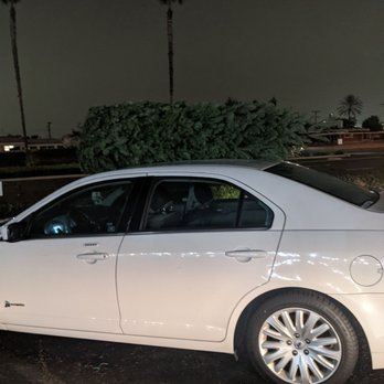 Tree Kings Christmas Tree Lot - Christmas Trees Near Me - Buena Park, California