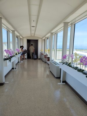 Naha International Airport by null