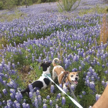 Inks Lake State Park - Parks Near Me - Burnet, Texas
