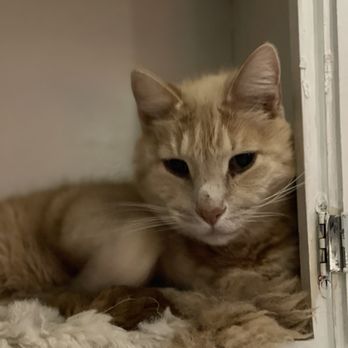 Banfield Pet Hospital - Veterinarians Near Me - Eugene, Oregon Banfield Pet Hospital - Veterinarians Near Me - Eugene, Oregon