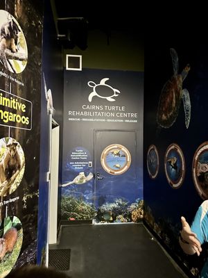 Cairns Aquarium by null