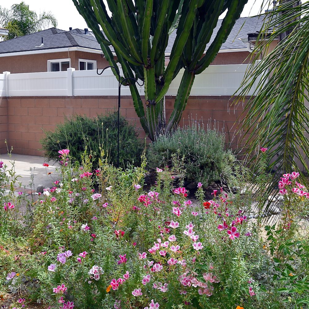 Nicks Vinyl Fence - So Much Better than the old one!! Worth every penny! - Fences & Gates Near Me - Montebello, California Nicks Vinyl Fence - So Much Better than the old one!! Worth every penny! - Fences & Gates Near Me - Montebello, California
