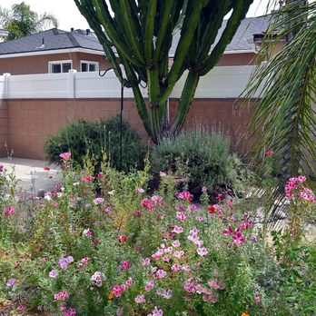 Nicks Vinyl Fence - So Much Better than the old one!! Worth every penny! - Fences & Gates Near Me - Montebello, California Nicks Vinyl Fence - So Much Better than the old one!! Worth every penny! - Fences & Gates Near Me - Montebello, California