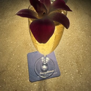 Tommy Bahama - Sure a glass of bubbly topped with a flower is the perfect nightcap! - Seafood Near Me - Sandestin, Florida Tommy Bahama - Sure a glass of bubbly topped with a flower is the perfect nightcap! - Seafood Near Me - Sandestin, Florida