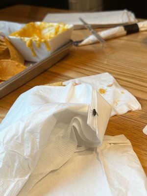 Taco Mac Suwanee by null