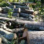 Photo of Pro Green Outdoors
