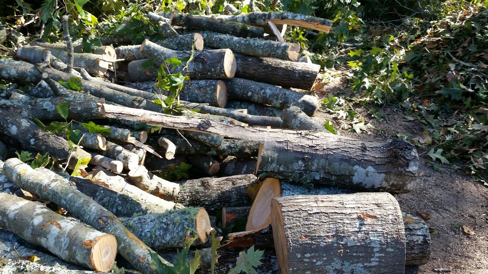 Pro Green Outdoors - tree service in West Columbia, SC