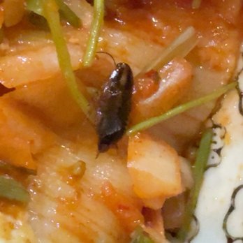 四姐 Special Noodle - Dim Sum Near Me - Austin, Texas 四姐 Special Noodle - Dim Sum Near Me - Austin, Texas