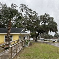 Ocala Flower Shop