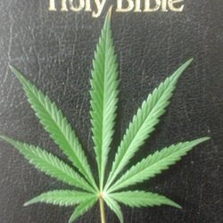 Mission Worcester Cannabis Dispensary