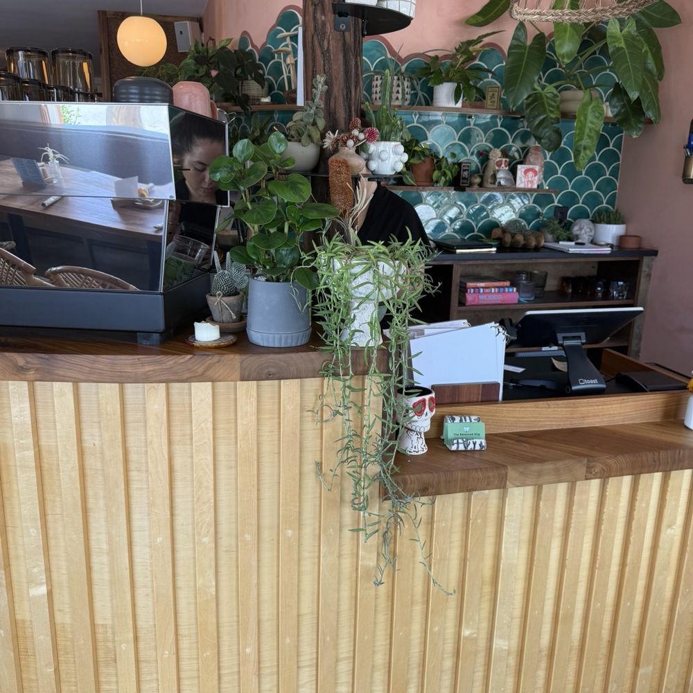 Contento Cafe - Front reception area and lots of plants! - Coffee & Tea Near Me - South Salt Lake, Utah