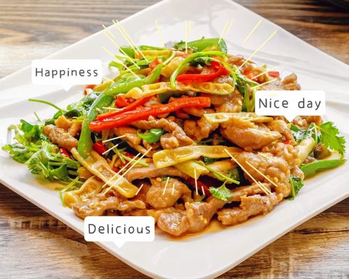 Szechuan Garden Chinese Restaurant by null