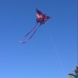 My daughters kite , awesome My daughters kite , awesome