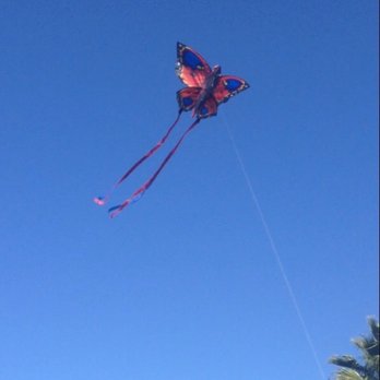 Up Up & Away - My daughters kite , awesome - Hobby Shops Near Me - Seal Beach, California Up Up & Away - My daughters kite , awesome - Hobby Shops Near Me - Seal Beach, California