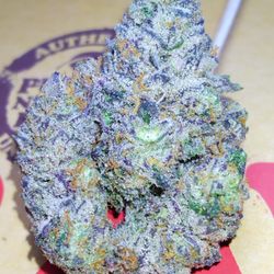 Stanky Danky - Best Dispensary
Magic Shrooms
Thc Gummies