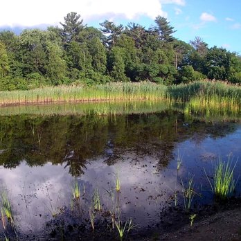 Hidden Pond - Parks Near Me - Hingham, Massachusetts Hidden Pond - Parks Near Me - Hingham, Massachusetts
