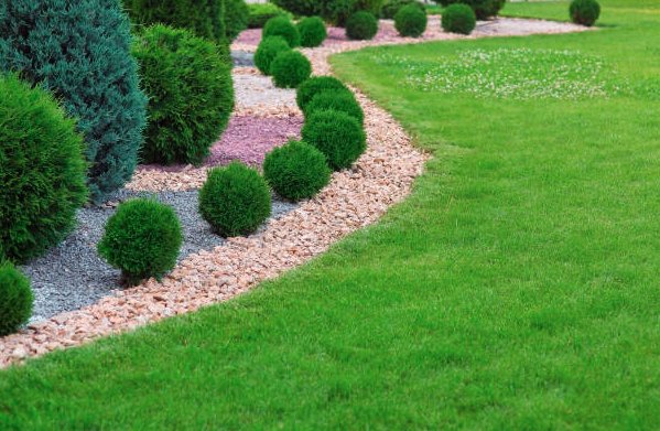 "Your Dream Landscape, Our Expertise." - "Your Dream Landscape, Our Expertise." "Your Dream Landscape, Our Expertise." - "Your Dream Landscape, Our Expertise."