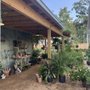Photo of D's Garden Center