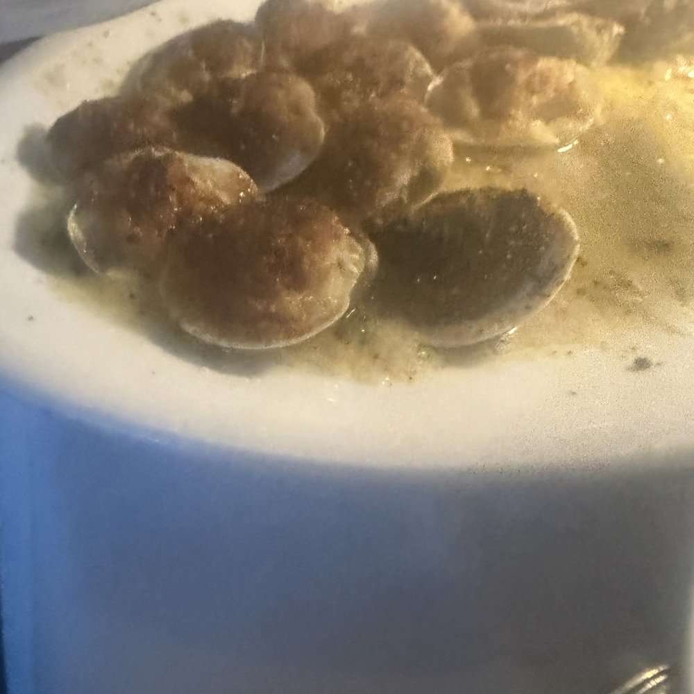 Matteo's Trattoria - Clams Casino - Italian Near Me - Boca Raton, Florida Matteo's Trattoria - Clams Casino - Italian Near Me - Boca Raton, Florida