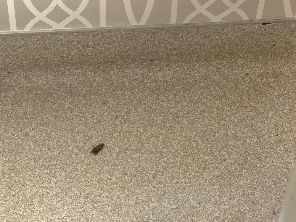 ADVANCED PAIN MEDICAL GROUP BEVERLY HILLS Updated October 2024 23