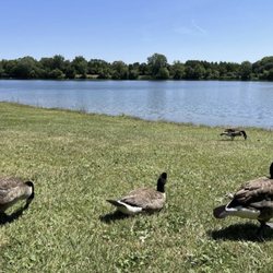 Thelma Spencer Park