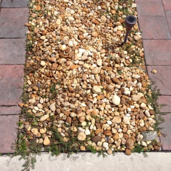 Tree Finders - Before - Tree Services Near Me Tree Finders - Before - Tree Services Near Me
