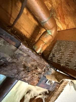 Copper water pipe leaking in wall